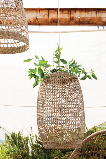 Rye Lantern By Accent Decor | Lanterns | Modishstore - 1