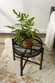 Nash Plant Stand By Accent Decor | Stands | Modishstore - 3