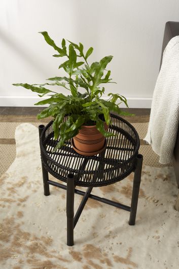 Nash Plant Stand By Accent Decor | Stands | Modishstore - 3