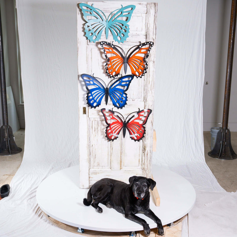 Large Butterfly Wall Hangings