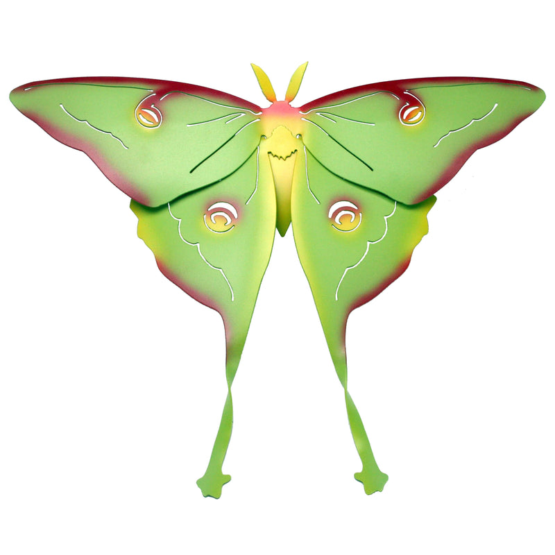 Luna Moth Wall Hanging