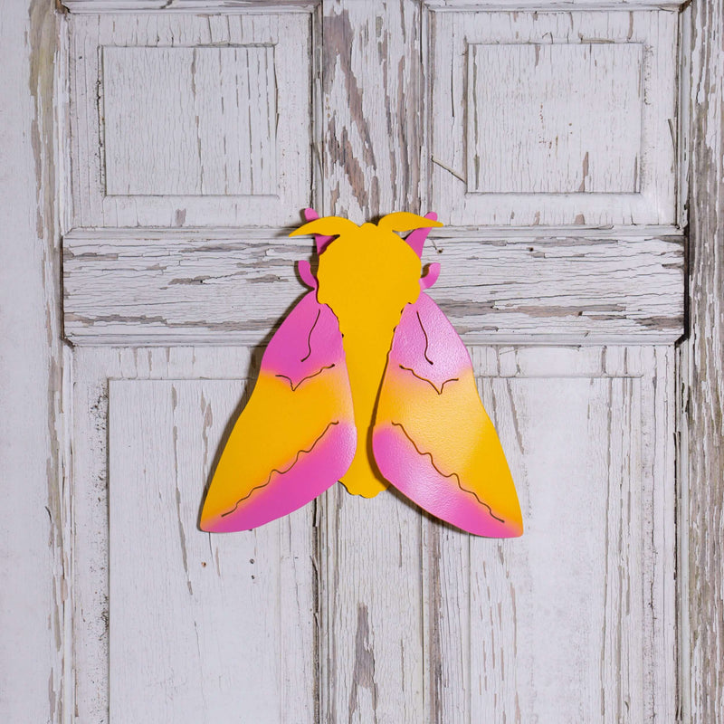 Resting Moth Wall Hangings