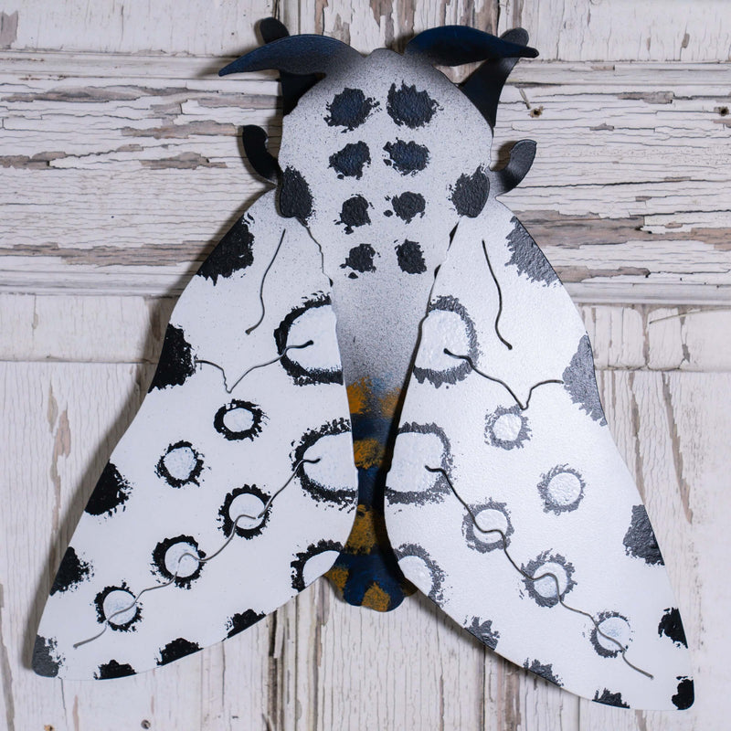 Resting Moth Wall Hangings