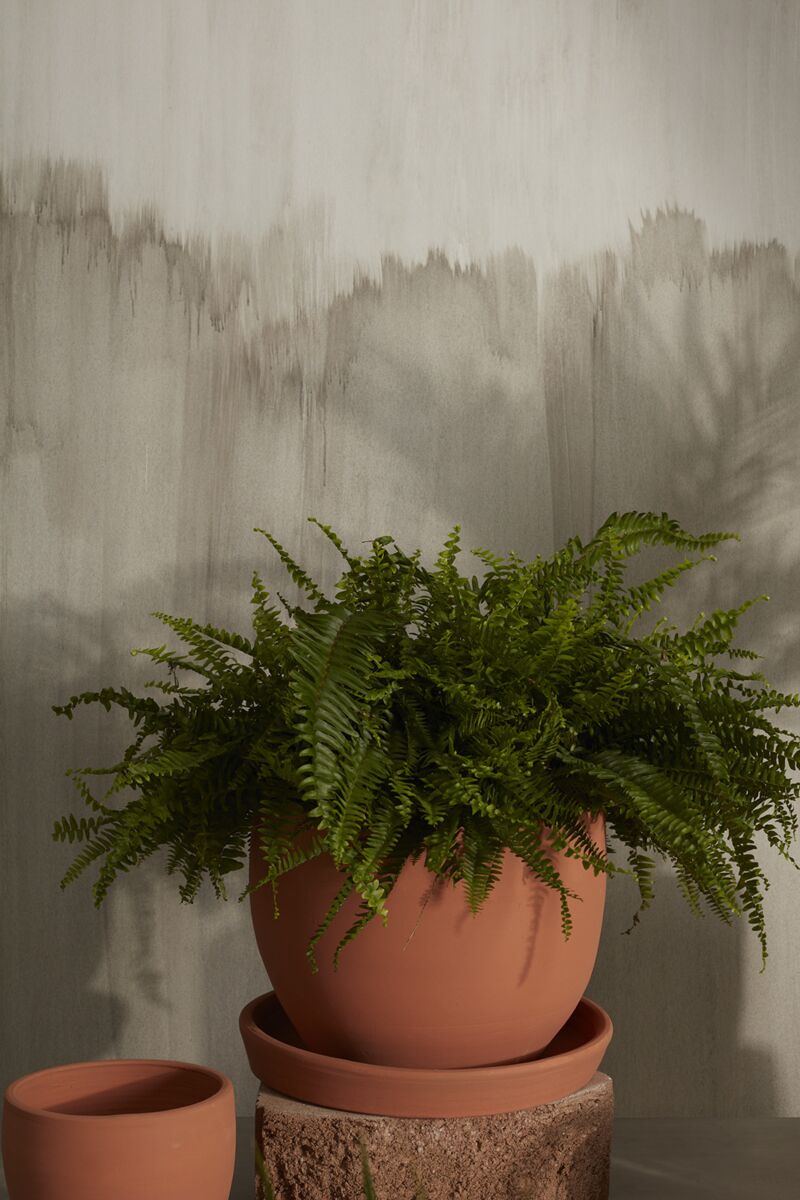 Baden Pot with Saucer