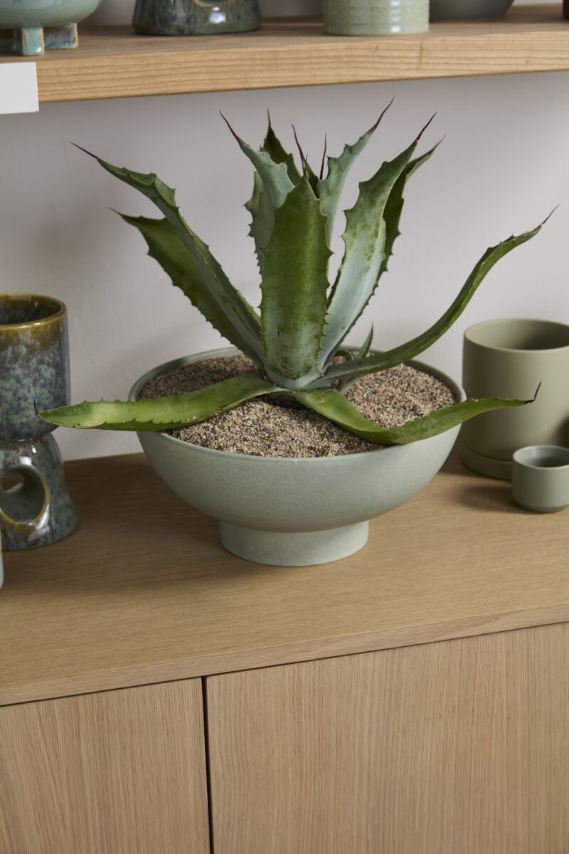 Beltline Bowl with Saucer