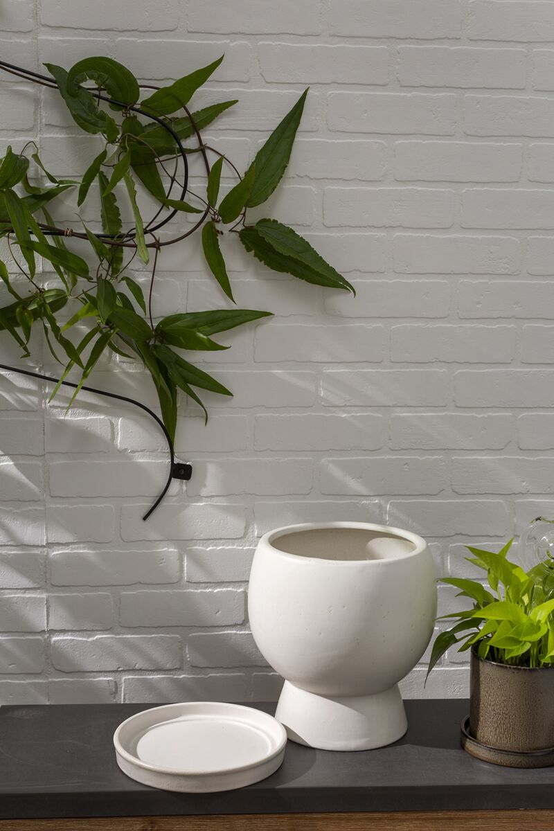 Bosky Pot with Saucer