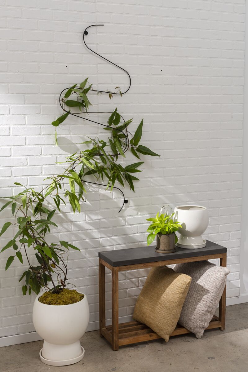 Bosky Pot with Saucer