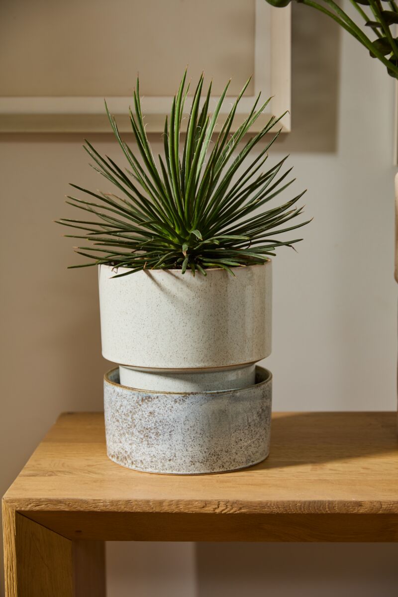 Endeavor Pot with Saucer