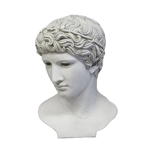 Greek Youth Bust Display Decor (34 - Inch)