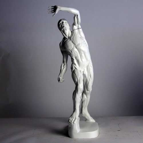 Anatomy of Man Garden Statue (28 - Inch) Side View