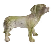 Dog Pup Garden Statue (19 - Inch)