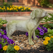 Dog Pup Garden Statue (19 - Inch) Side Angle