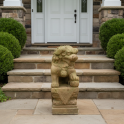 Lion Garden Statue (18 - Inch) Side Angle