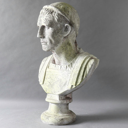 Julius Caesar (25 - Inch) Side Angle