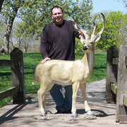 White Tail Deer Garden Statue (64 - Inch) Other Angle
