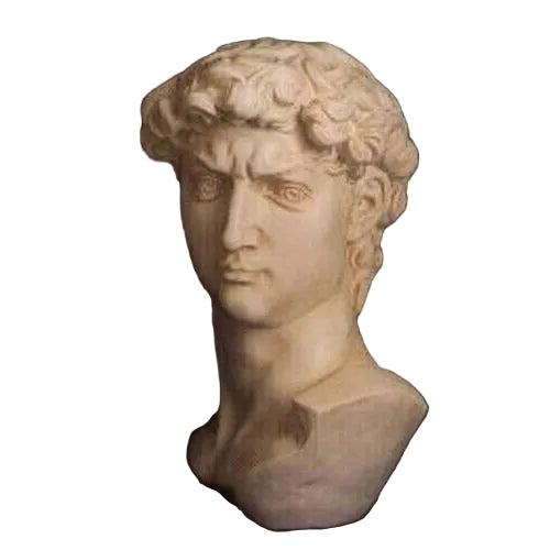Classical Renaissance bust with detailed curly hair and strong features, inspired by old world European sculpture.