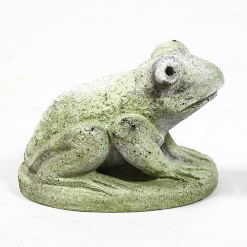 Hypno Frog Statue (5 - Inch) Different Angle