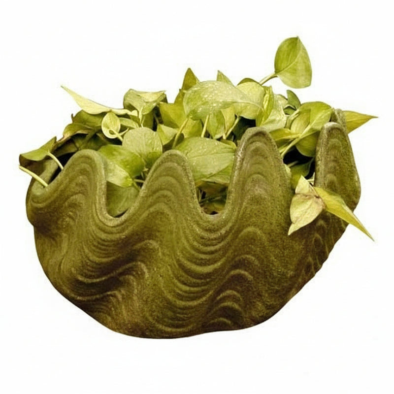 Nori Shell 10.5 Outdoor/Indoor Statue
