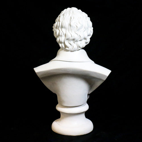 Classical European bust with ornate ruffled shirt and curled hair, inspired by Renaissance and Baroque sculptural styles. Different Angle