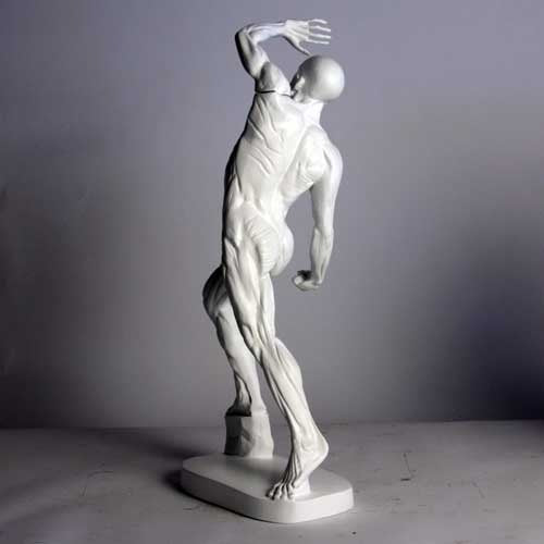 Anatomy of Man Garden Statue (28 - Inch) Angled View