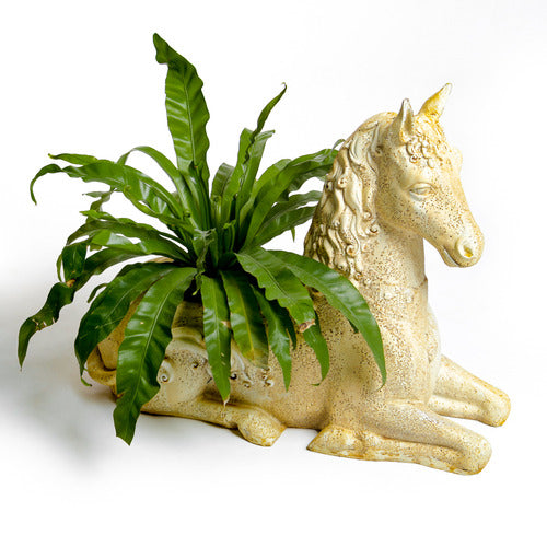Fantasy Horse Planter 23 Outdoor/Indoor Statue