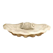 Ornate old world European shell-shaped dish with classical scroll detailing and scalloped edges in a Renaissance-inspired design.