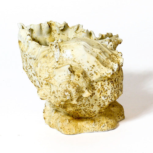 Caribbean Conch Outdoor/Indoor Statue