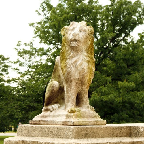 Sitting Lion Garden Statue (24 - Inch) Side Angle