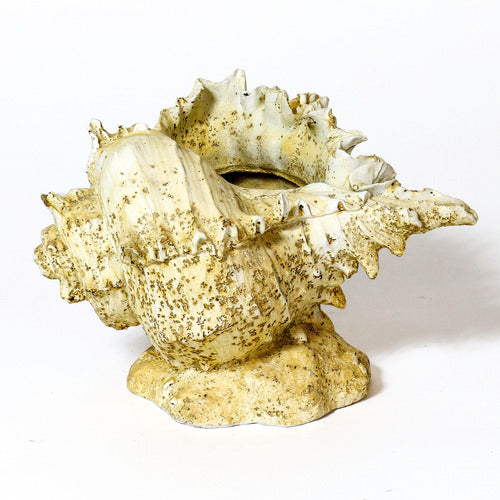 Caribbean Conch Outdoor/Indoor Statue