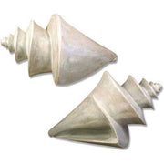 Pair of ornate, old world European style conch shell sculptures with classical, spiraled Baroque detailing and elegant curves.