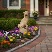 Foo dog statue with ornate, classical detailing, seated on a square pedestal in an old world European style. Side Angle