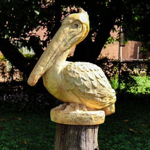Pelican Bird Garden Statue (20 - Inch) Side View
