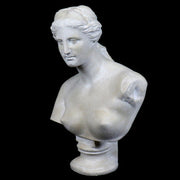 Venus De Milo Bust Medium Bust Display Decor (21 - Inch) Side View