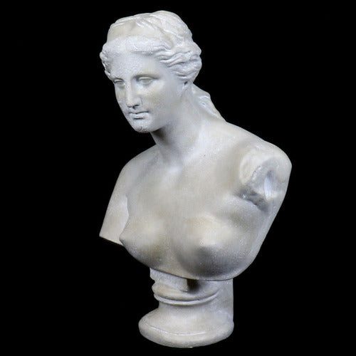 Venus De Milo Bust Medium Bust Display Decor (21 - Inch) Side View
