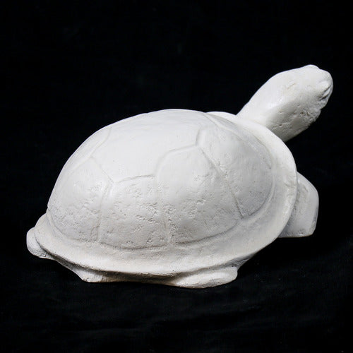 Tortoise sculpture with classical old world European style, featuring smooth, rounded shell and stylized, simplified details. Side View