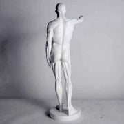 Anatomy of Man Garden Statue (29 - Inch) Side View