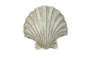 Scallop shell with ornate, old world European detailing and classical ribbed design, evoking Renaissance and Baroque elegance.