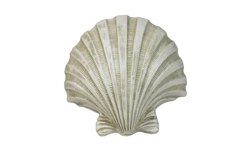 Scallop shell with ornate, old world European detailing and classical ribbed design, evoking Renaissance and Baroque elegance.