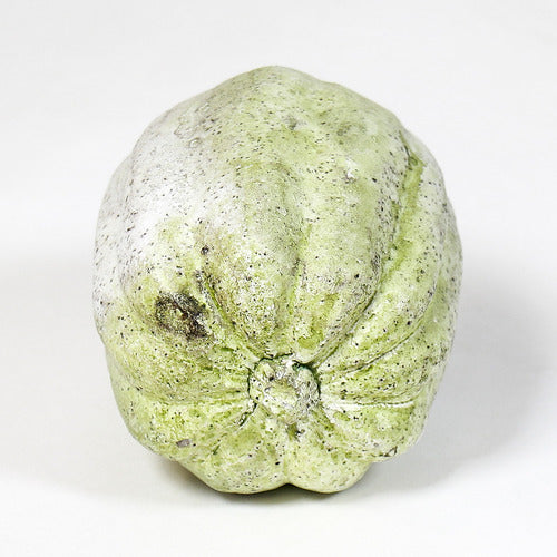 Acorn Squash 4 H Outdoor/Indoor Statue