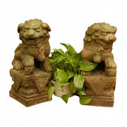 Pair of ornate, old world European lion statues with classical detailing, flanking a leafy plant in a decorative arrangement.