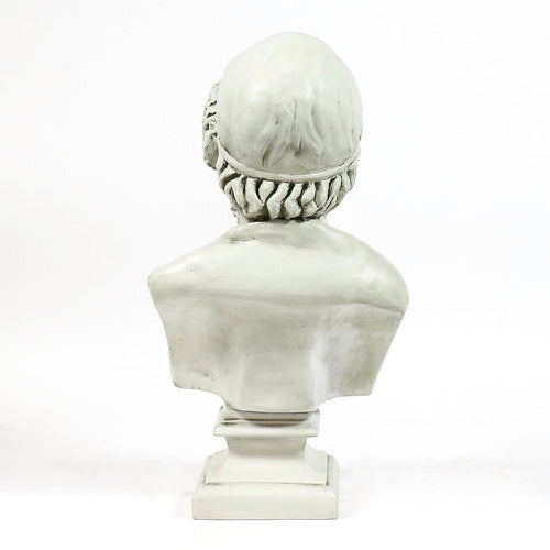 Classical Greek-style bust sculpture with ornate hair detail, shown from the back on a square pedestal base.