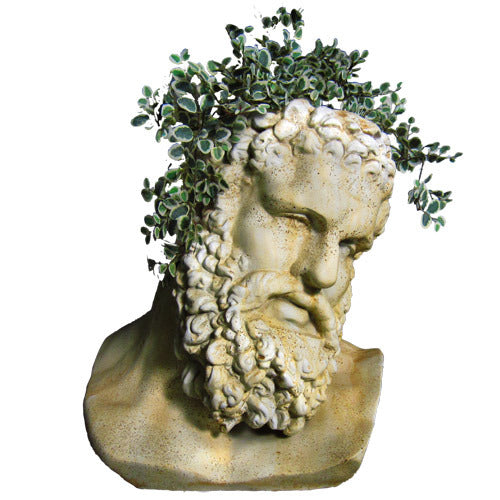 Hercules Bust Planter Outdoor/Indoor Statue