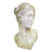 Head Bust Display Decor (49 - Inch) Different Angle