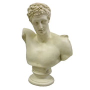 Classical Greek-style male bust with curly hair and detailed facial features, displayed on a round pedestal base.
