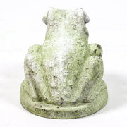 Hypno Frog Statue (5 - Inch) Other Angle