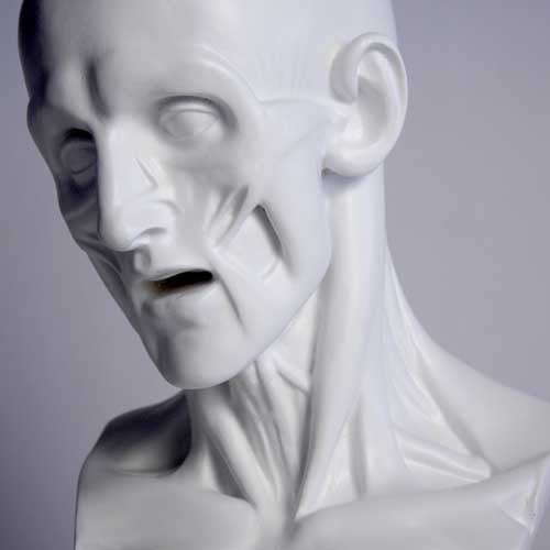 Anatomy Bust Outdoor/Indoor Statue