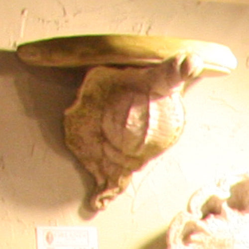 Conch Shell Bracket Outdoor/Indoor Statue