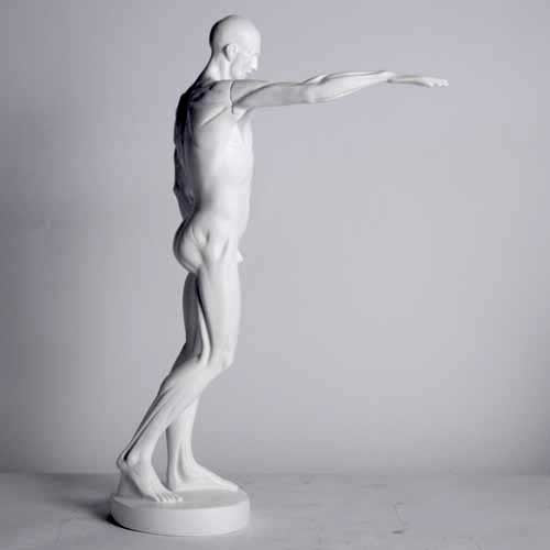 Anatomy of Man Garden Statue (29 - Inch)