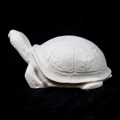Tortoise sculpture with classical old world European style, featuring smooth, rounded shell and stylized, simplified details. Different Angle