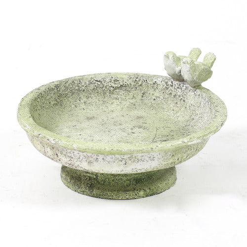Finch Garden(6 - Inch)